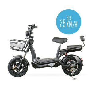 E-Mopedfahrrad