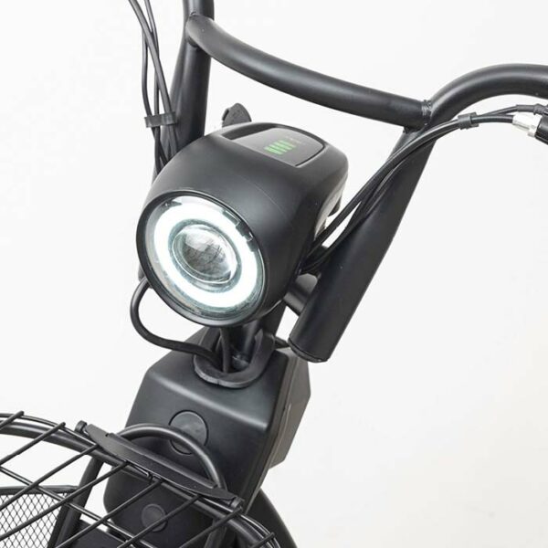 E-Mopedfahrrad