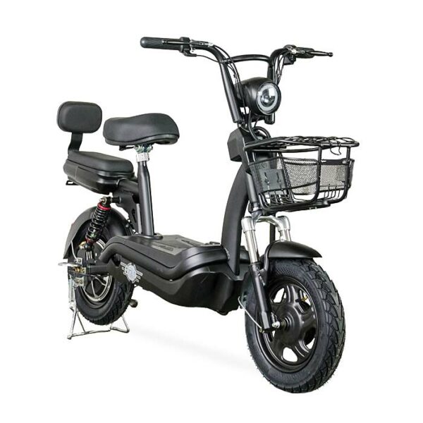 E-Mopedfahrrad