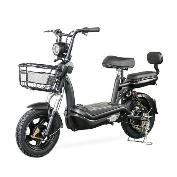 E-Mopedfahrrad