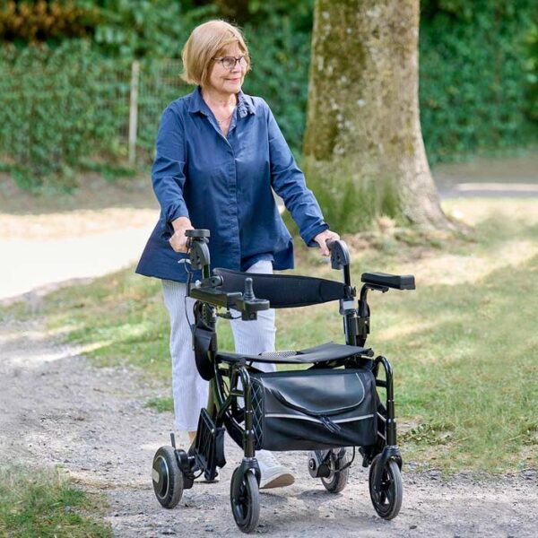 E-Rollator, E-Rollstuhl, Schiebehilfe